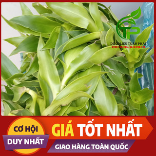 Cây Lược Vàng tươi 1kg