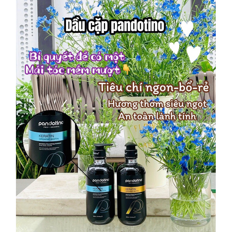 Cặp gội xả Pandotino  kích mọc tóc ,hương thơm mát 800ml