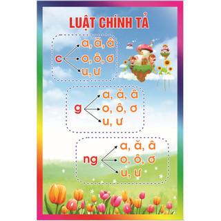 Luật chính tả in bạt
