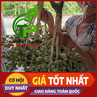 Trái Cau Kiểng (Quả Cau Kiểng) 1kg [Thảo Dược Ngọc Ánh]