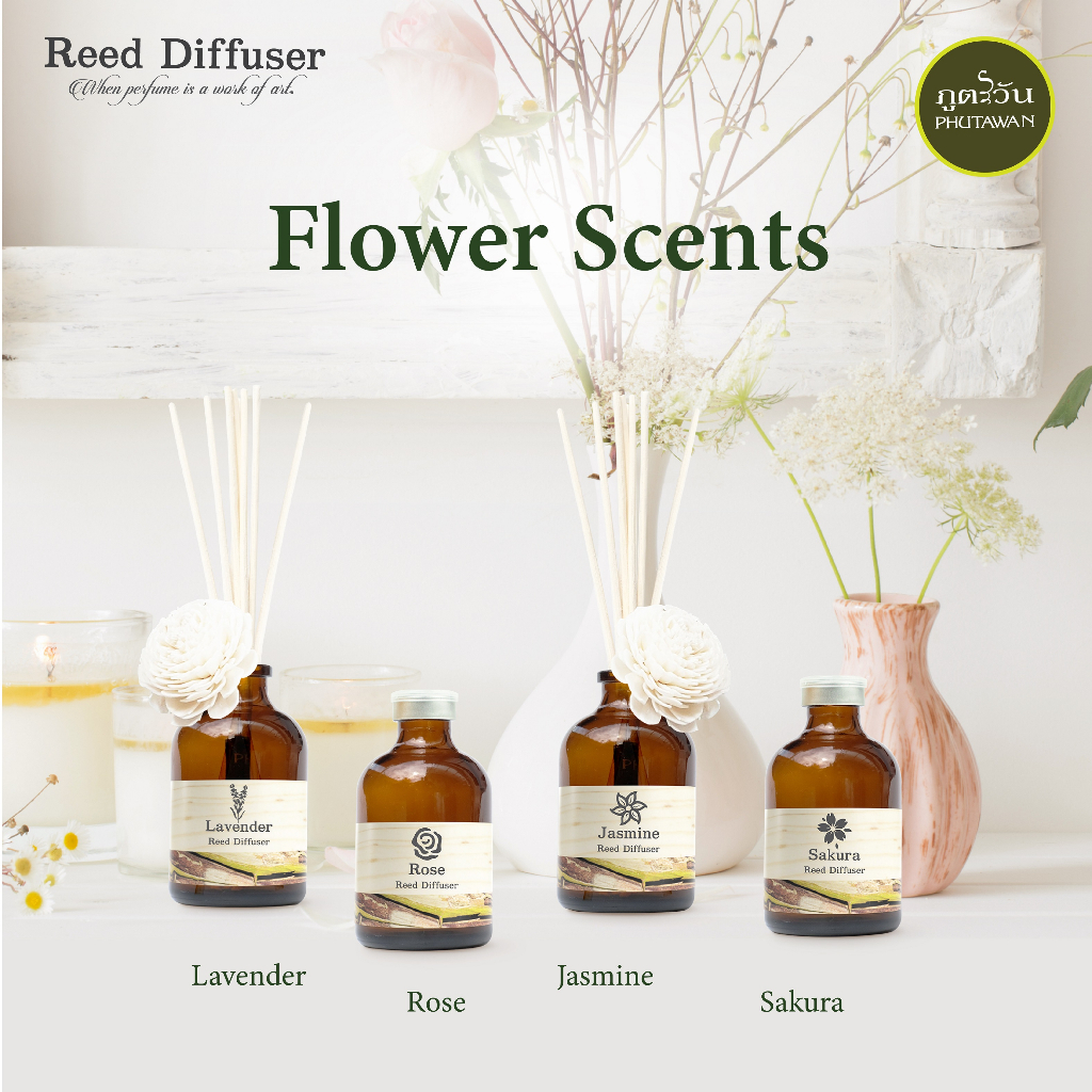 Tinh Dầu Thơm Phòng Phutawan Que Gỗ Aroma Reed Diffuser Hộp Vân Gỗ Thái Lan Chính Hãng 50ml