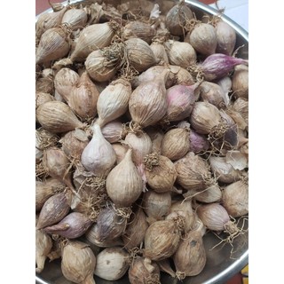 Tỏi Đen Sơn La 500g