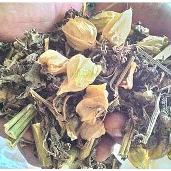 Cây tầm bóp - Cây thù lù - Sản phẩm khô hữu cơ tự nhiên gói 500gr