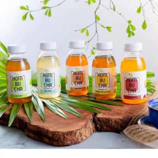 Kombucha trà bất tử lên men tự nhiên chai 250ml - Kombucha light.