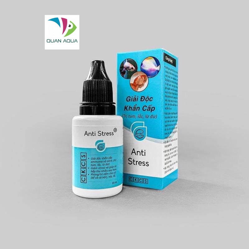 AntiStress + Parakil và Blue Sky DƯỠNG CÁ TRỊ TÚM LẮC