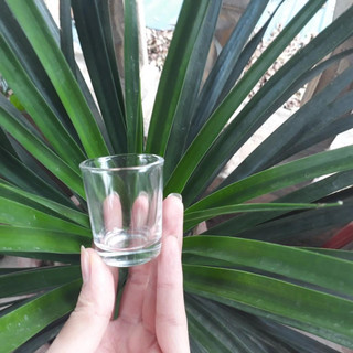 Ly mắt trâu thủy tinh 40ml 1 chiếc chén nhỏ
