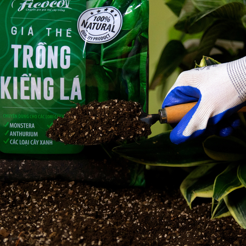 Đất trồng kiểng lá, giá thể trồng các cây kiểng lá, cây trong nhà Monstera, Anthurium, Bàng Singapore, túi 7 lít