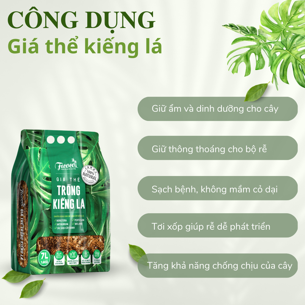 Đất trồng kiểng lá, giá thể trồng các cây kiểng lá, cây trong nhà Monstera, Anthurium, Bàng Singapore, túi 7 lít