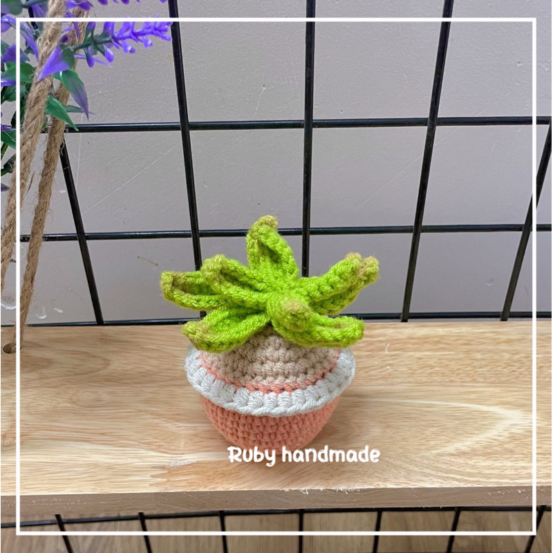 Chậu hoa xương rồng len mini sen đá len handmade làm quà tặng trang trí bàn học bàn làm việc