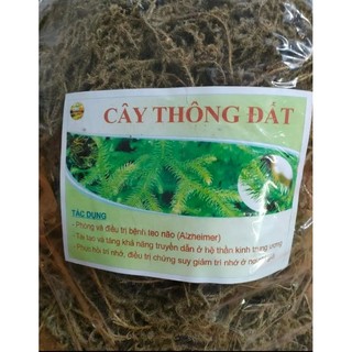 1kg cây thông đất, phơi khô, sạch