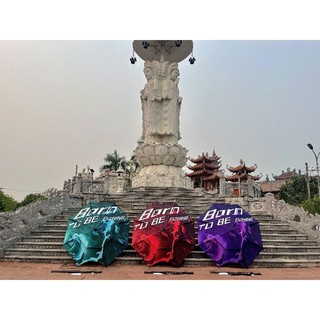 Ô dù câu cá nghệ nhân 3d 2m2 và 2m4