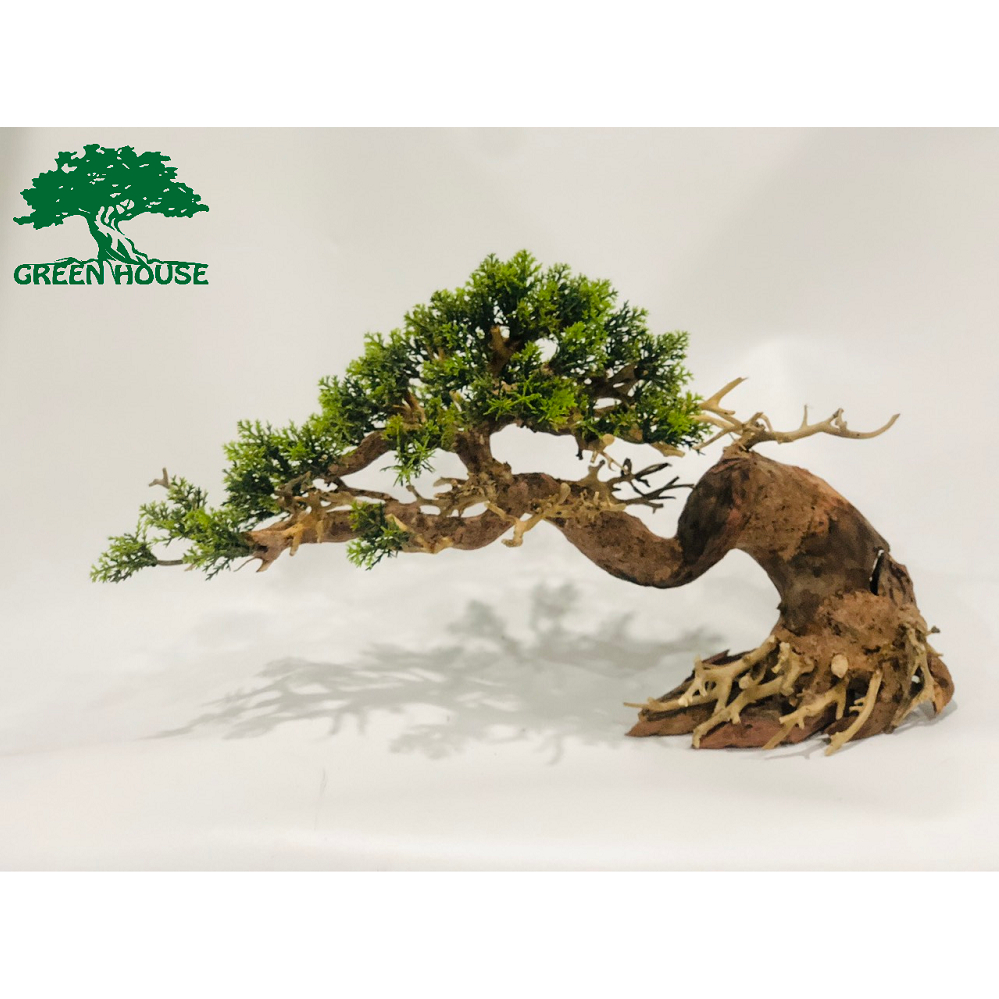 Lũa bonsai tán nhựa trang trí hồ cá, hồ thủy sinh (PLASTIC/44)