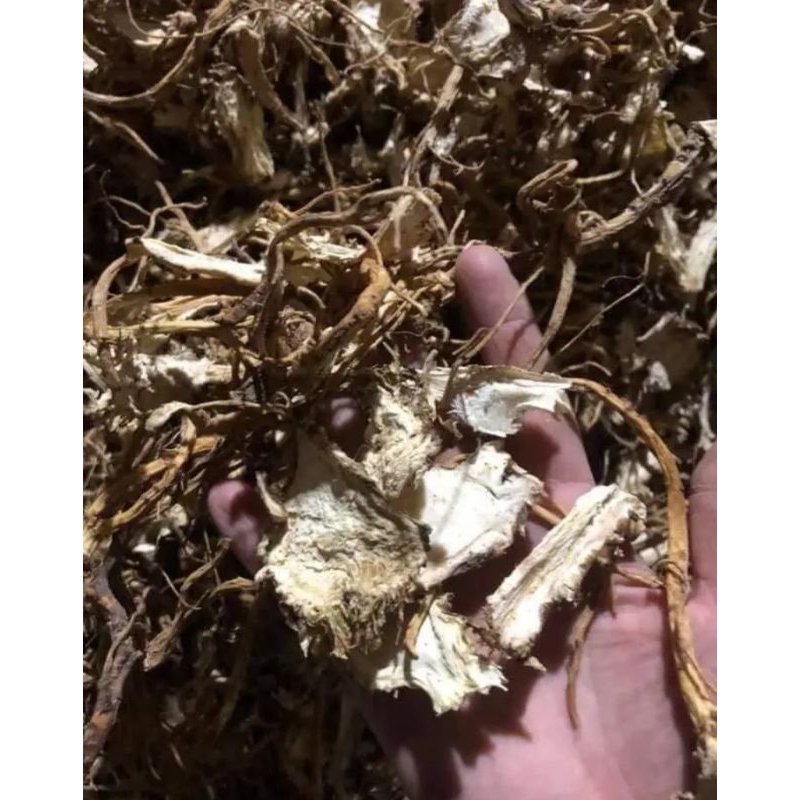 1 kg sâm đương quy, thái lát phơi khô