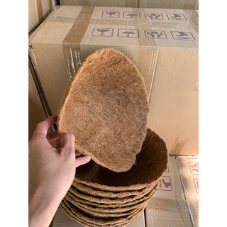 Combo 10 miếng lót xơ dừa 30cm