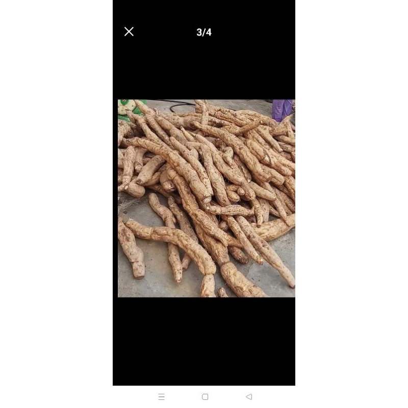 Tinh bột sắn dây hải dương 1kg