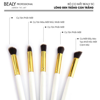 Bộ Cọ Mắt Cán Trắng Lông Đen 5C