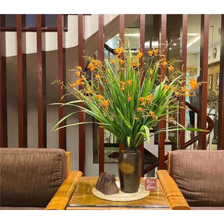 [Shop_huan_hoa_hong]Combo 10 củ hoa dơn lúa