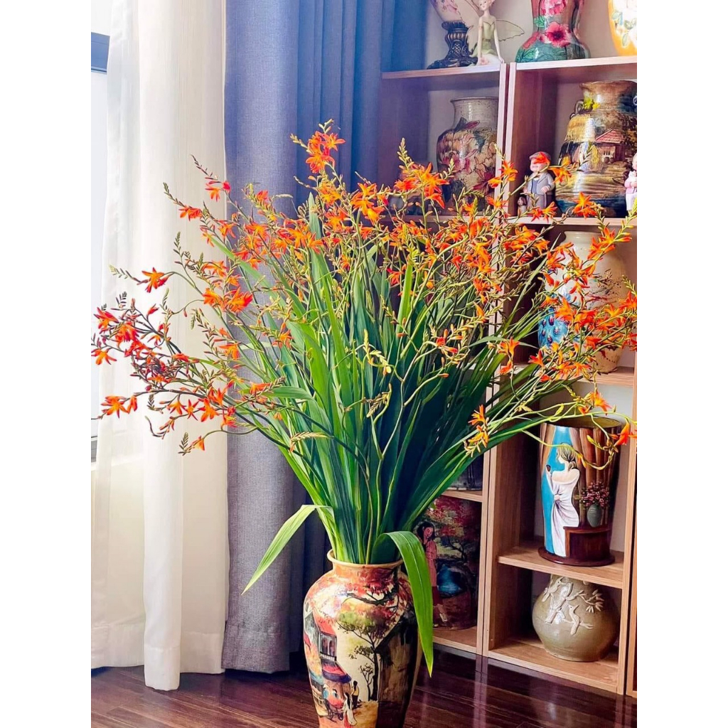 [Shop_huan_hoa_hong]Combo 10 củ hoa dơn lúa