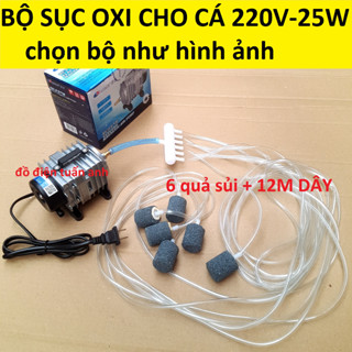 bộ máy sục oxi bể cá 25w -220v + 6 quả sủi + 12m dây, máy sủi oxy hồ cá