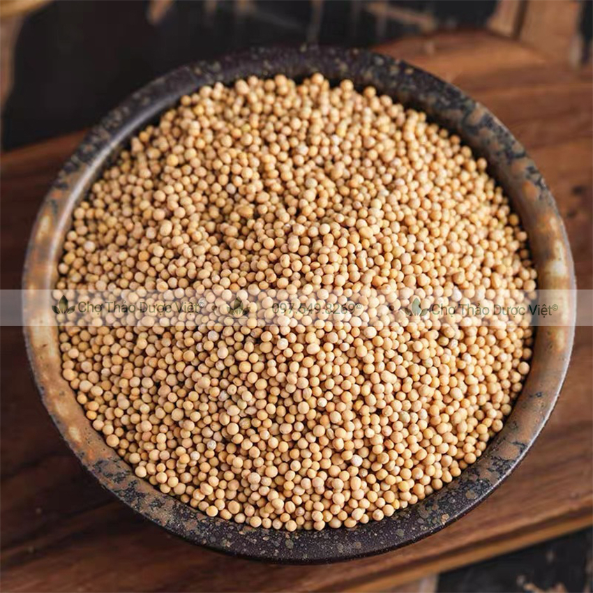 100g Hạt mù tạt vàng nguyên chất (Wasabi gia vị món Âu) - Chợ Thảo Dược Việt
