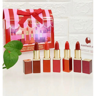 Set son mini Estee Lauder 5 cây