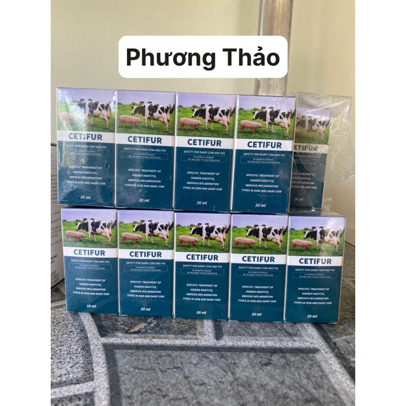 Ceftifur ( Ceftiofur 5%) hàng Agriviet thế hệ mới, chống kháng và nhờn thuốc
