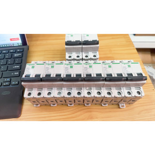 Cầu dao tự động schneider a9f74206 6a 10ka 2p a9f74210 10a 10ka 2p a9f74216 16a 10ka 2p