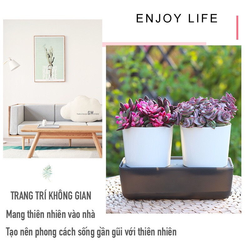 Chậu cây để bàn Oliz-A101.Chậu cây tự tưới thiết kế dạng kép dùng decor trang trí phong cách nhật bản