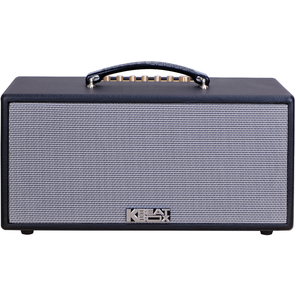 Dàn âm thanh di động xách tay mini ACNOS KS363V