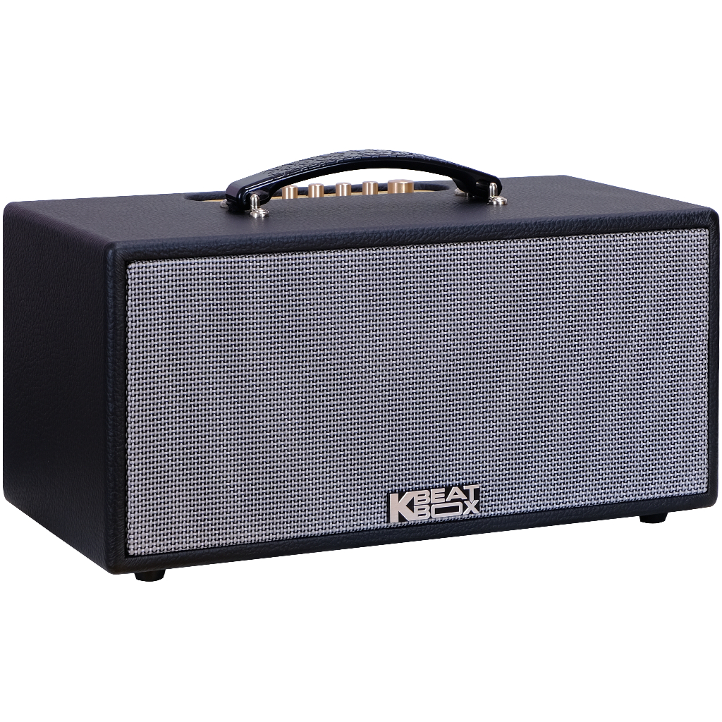 Dàn âm thanh di động xách tay mini ACNOS KS363V