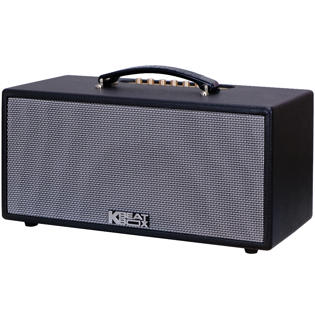 Dàn âm thanh di động xách tay mini ACNOS KS363V