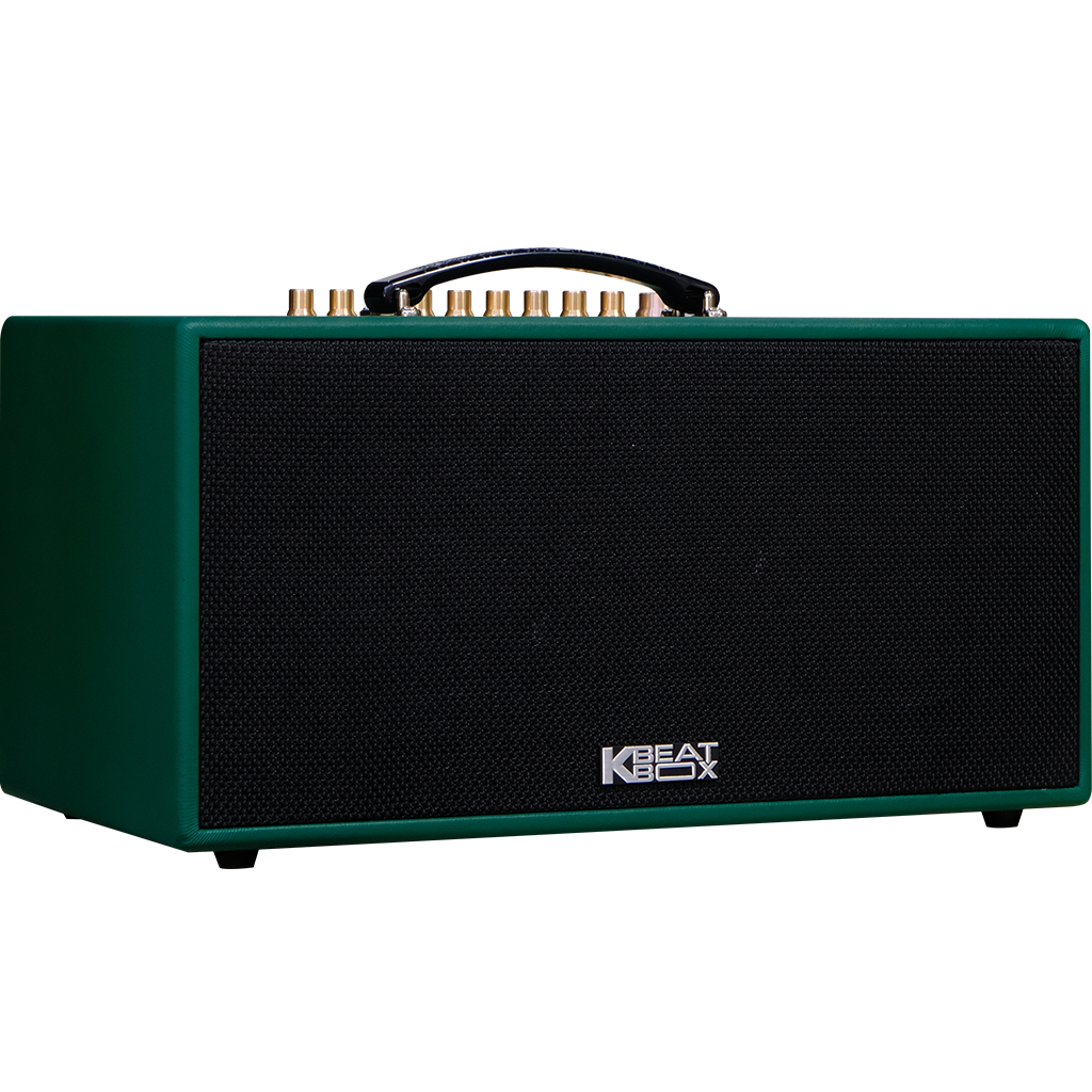 Dàn âm thanh di động xách tay ACNOS CS445D