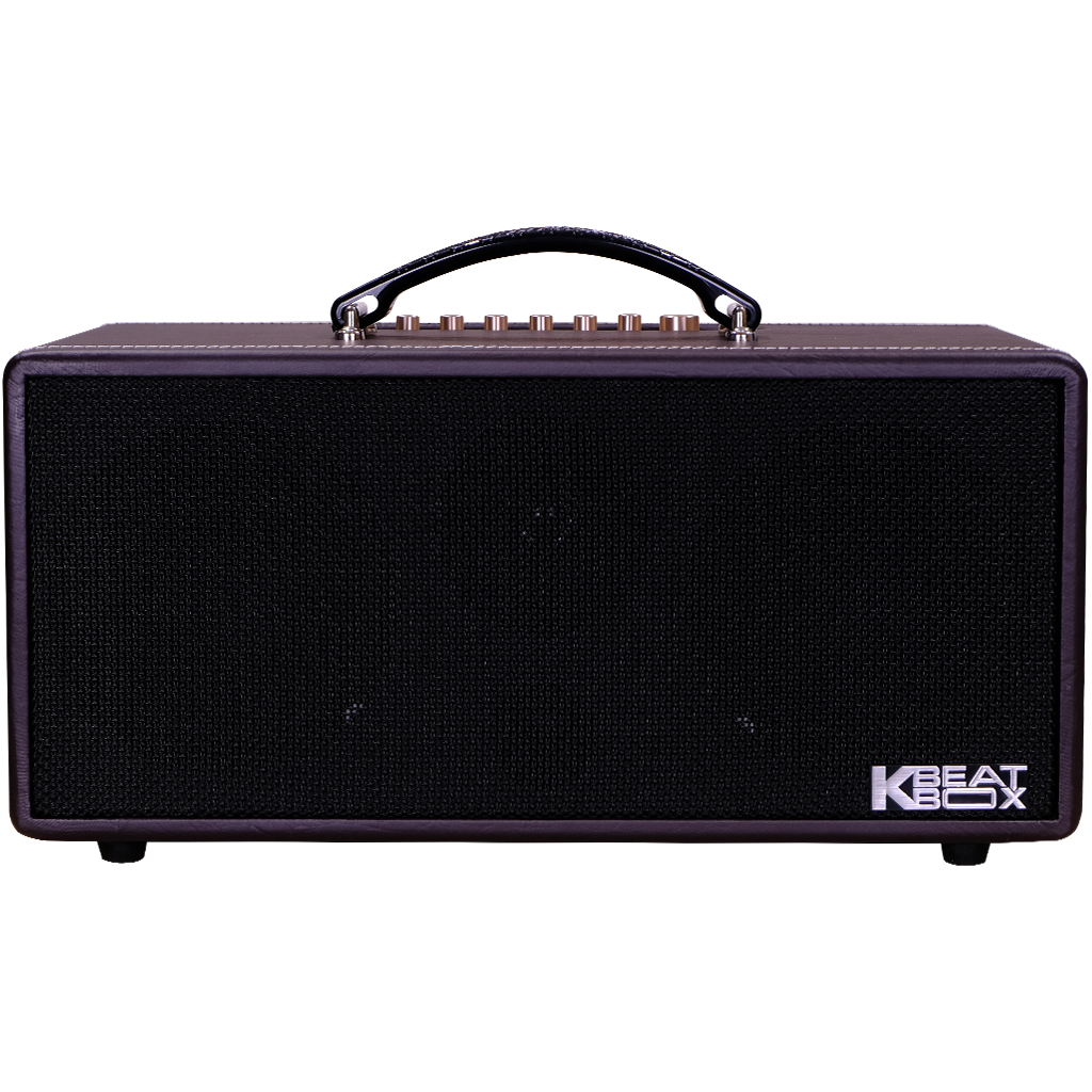 Dàn âm thanh di động xách tay mini ACNOS KS363H