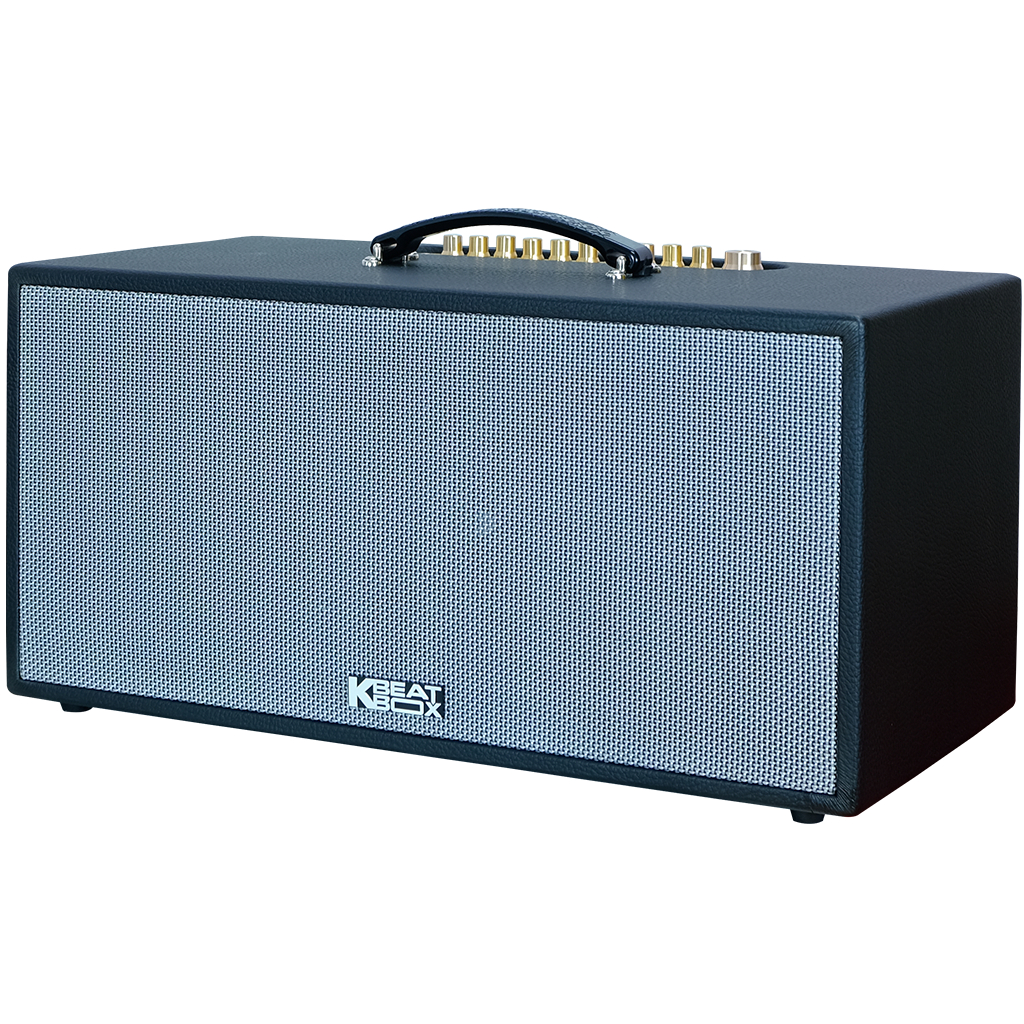 Dàn âm thanh di động xách tay ACNOS CS451