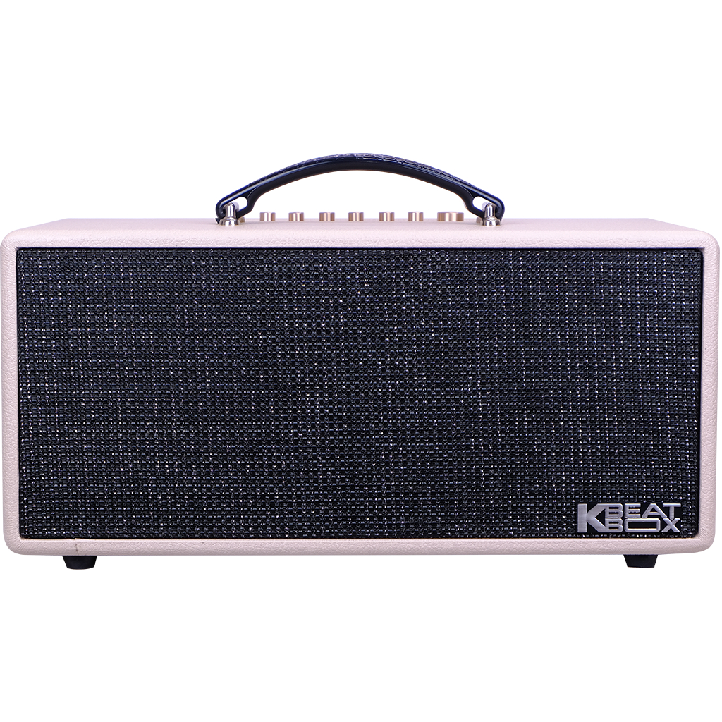 Dàn âm thanh di động xách tay mini ACNOS KS363H