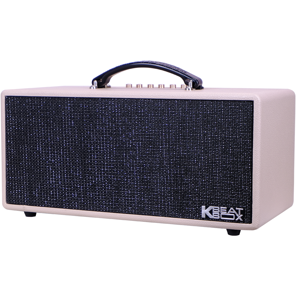 Dàn âm thanh di động xách tay mini ACNOS KS363H