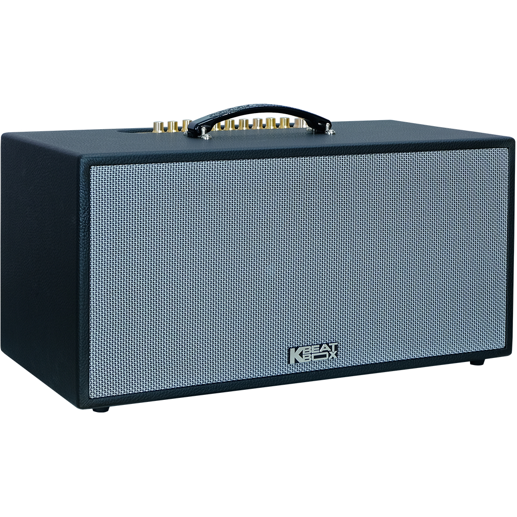 Dàn âm thanh di động xách tay ACNOS CS451