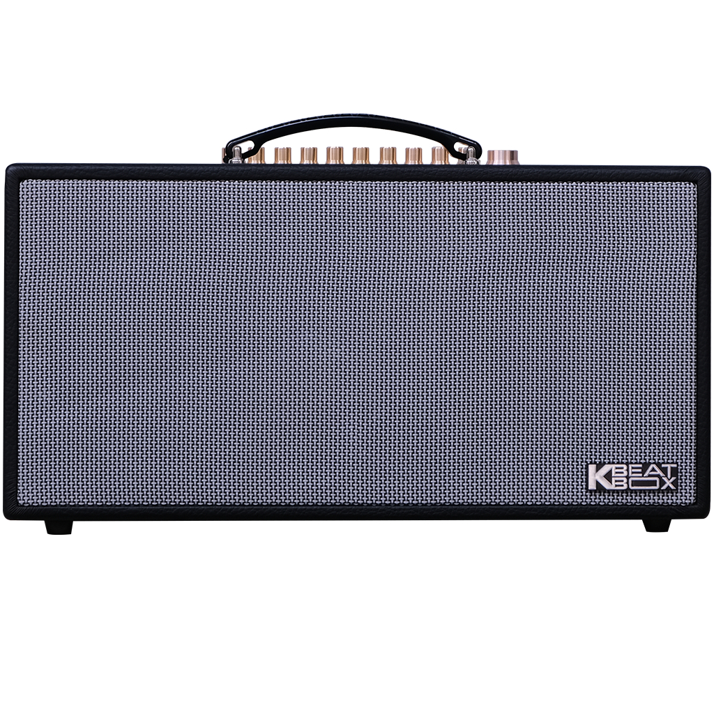 Dàn âm thanh di động xách tay ACNOS CS450SR