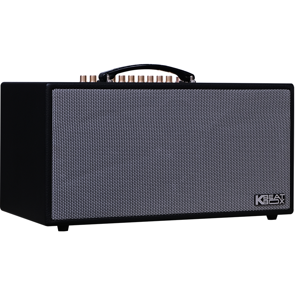 Dàn âm thanh di động xách tay ACNOS CS450SR