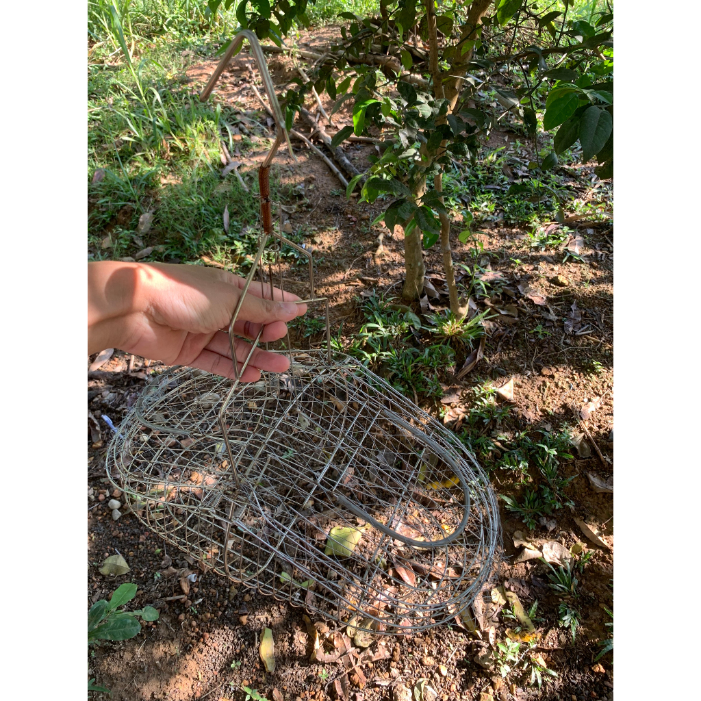 Lồng bẫy chim chào mào, chim chòe mẫu mới giá rẻ