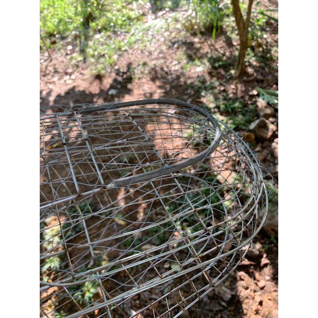 Lồng bẫy chim chào mào, chim chòe mẫu mới giá rẻ