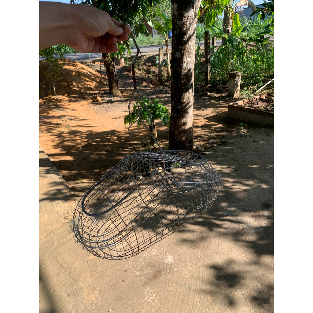 Lồng bẫy chim khuyên, chim hút mật inox giá rẻ