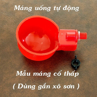 Combo 10 Máng tự động cho gà vịt ngan