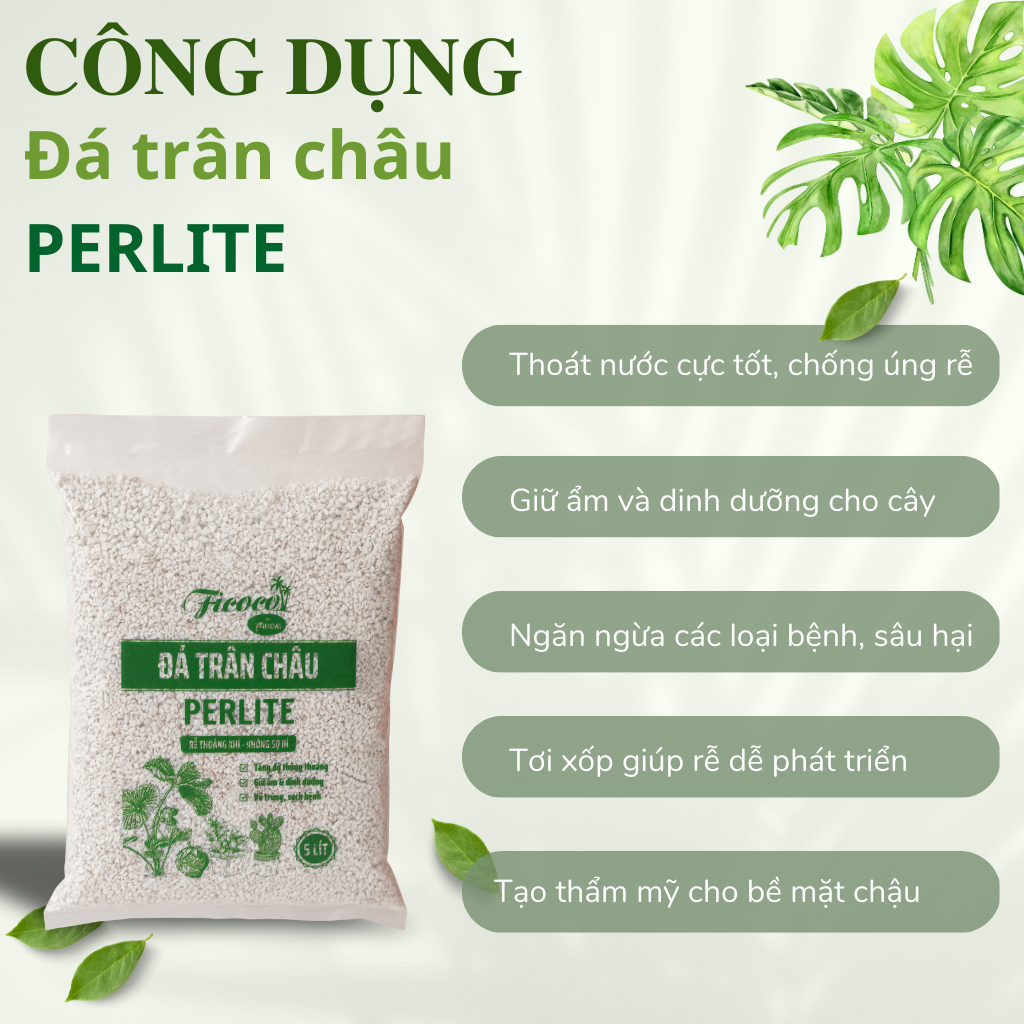 Đá Perlite, trồng sen đá, cây cảnh, thủy canh giàu khoáng chất, thoát nước tốt, tăng độ tươi xốp, túi 600g