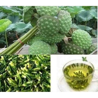 Trà tâm sen - tâm sen hồng lam 11 hàng đường - gói 200g/500g