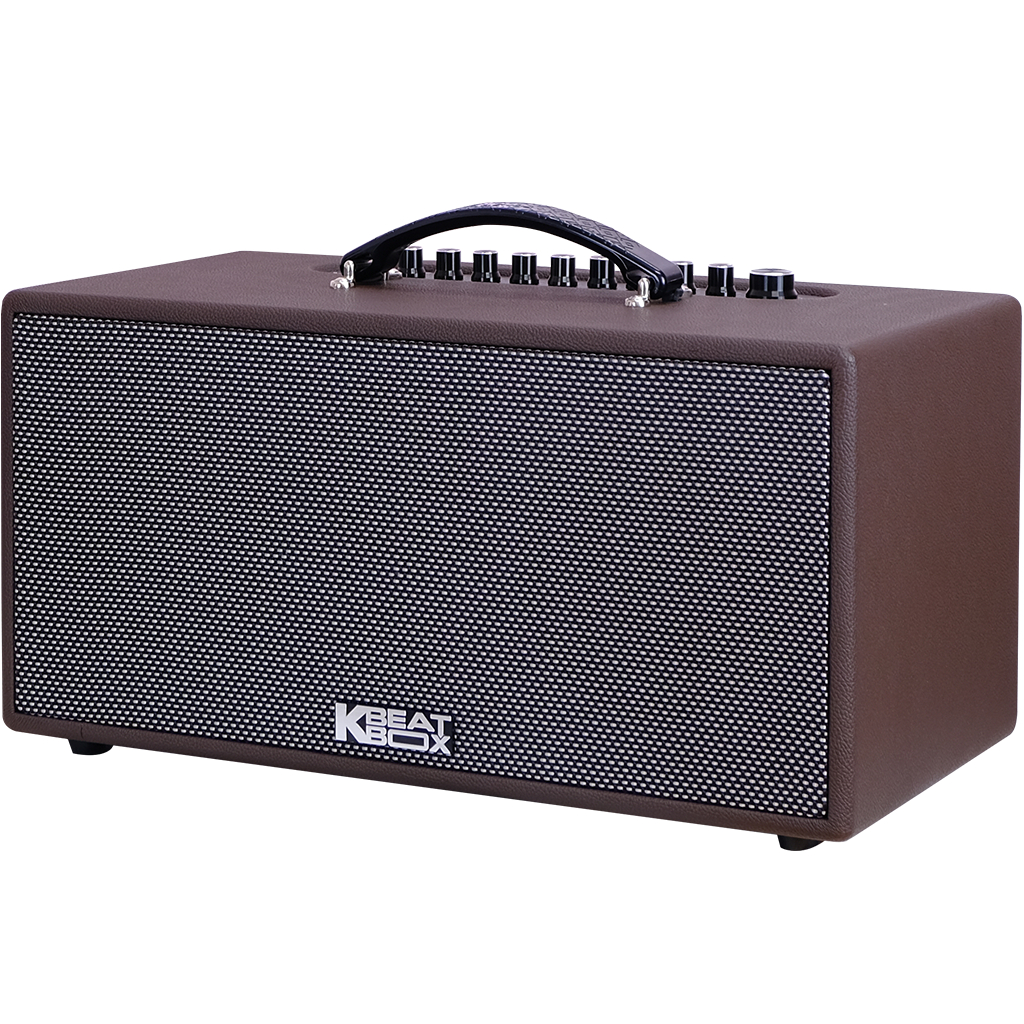 Dàn âm thanh di động xách tay ACNOS CS391