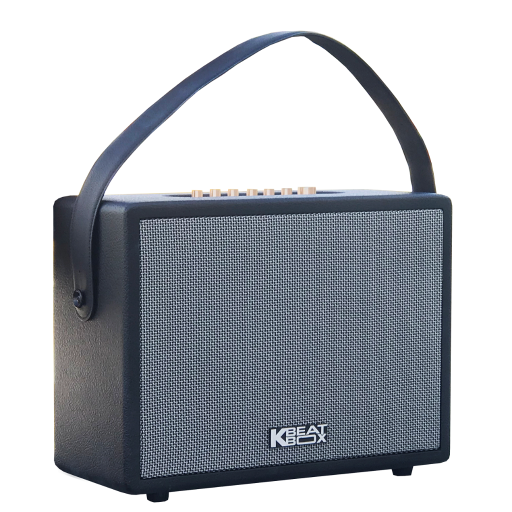 Dàn âm thanh di động xách tay mini ACNOS CS270