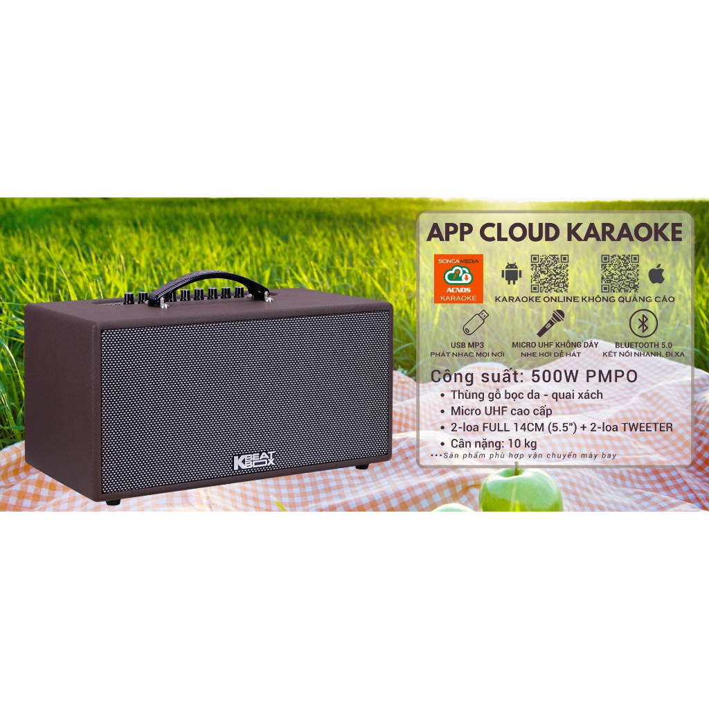 Dàn âm thanh di động xách tay ACNOS CS391