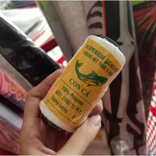 DIỀU MA NỮ 1m6 độc lạ