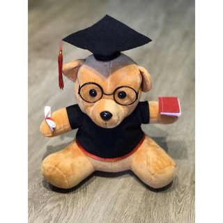 (GIÁ SỈ) Gấu tốt nghiệp cử nhân size 25cm